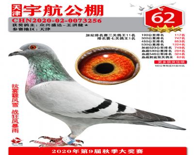 血戰到底排名賽62名