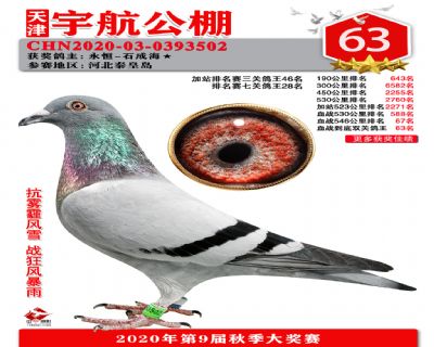 血戰到底排名賽63名