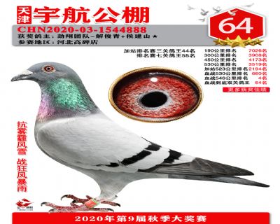 血戰到底排名賽64名