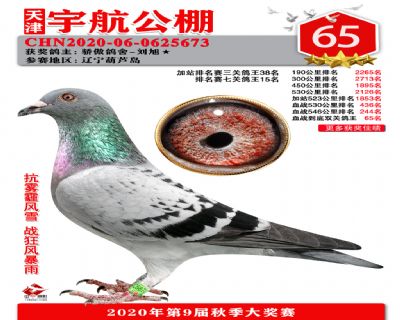 血戰到底排名賽65名