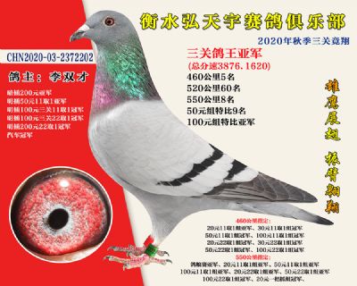 弘天宇俱樂部2