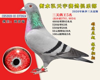 弘天宇俱樂部5