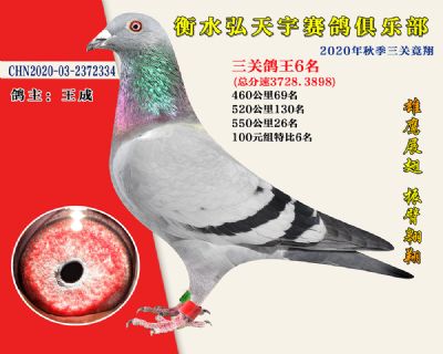 弘天宇俱樂部6