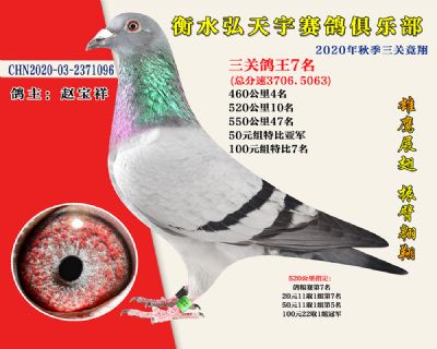 弘天宇俱樂部7