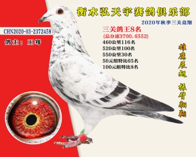 弘天宇俱樂部8