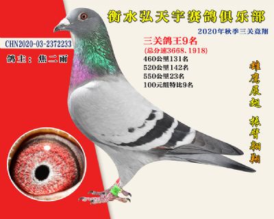 弘天宇俱樂部9