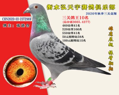 弘天宇俱樂部10