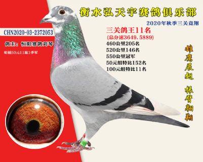 弘天宇俱樂部11