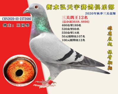 弘天宇俱樂部12