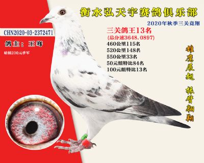 弘天宇俱樂部13