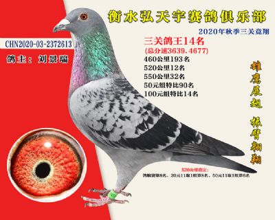 弘天宇俱樂部14