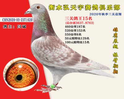 弘天宇俱樂部15