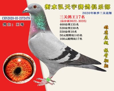 弘天宇俱樂部17