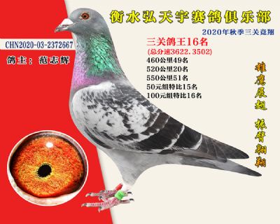 弘天宇俱樂部16