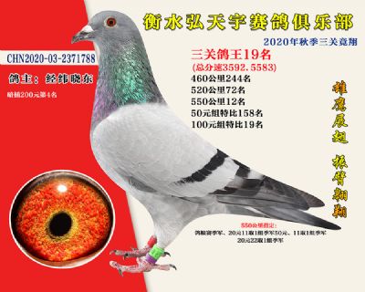 弘天宇俱樂部19