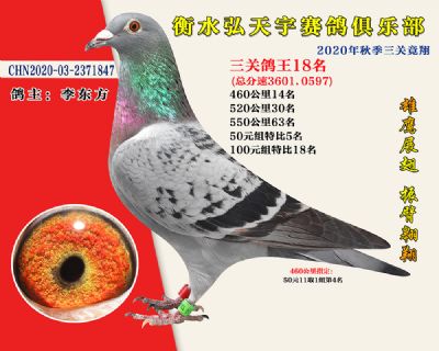 弘天宇俱樂部18