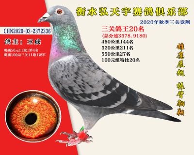 弘天宇俱樂部20