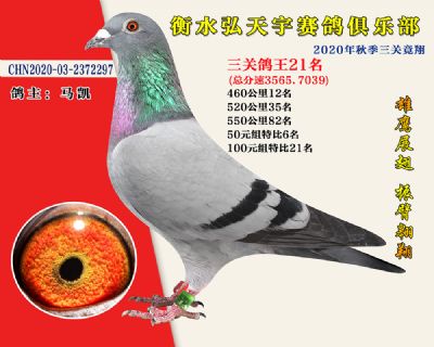 弘天宇俱樂部21