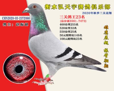 弘天宇俱樂部23