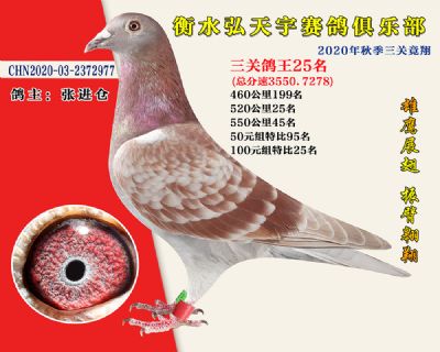 弘天宇俱樂部25