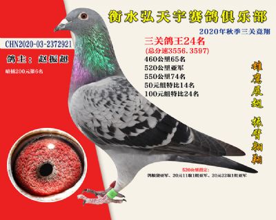 弘天宇俱樂部24