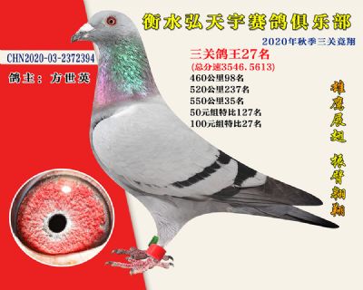 弘天宇俱樂部27