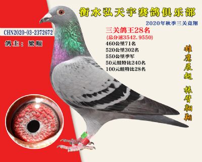 弘天宇俱樂部28