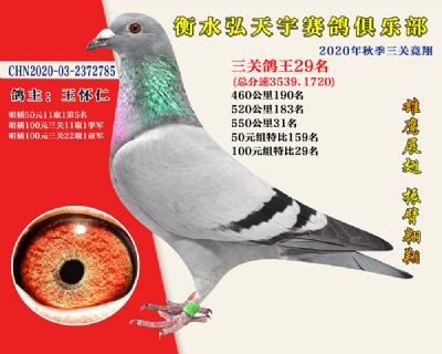 弘天宇俱樂部29