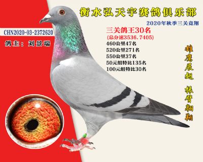 弘天宇俱樂部30
