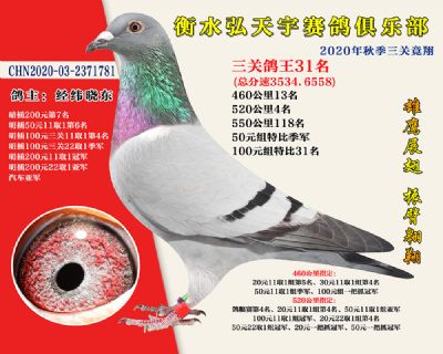 弘天宇俱樂部31