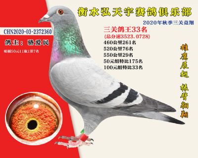 弘天宇俱樂部33