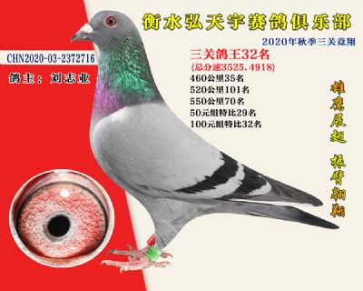 弘天宇俱樂部32