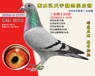 弘天宇俱樂部34