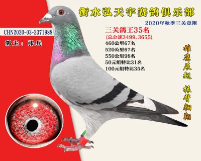 弘天宇俱樂部35