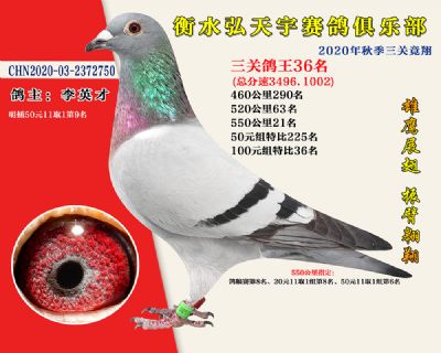 弘天宇俱樂部36