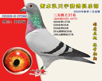 弘天宇俱樂部37