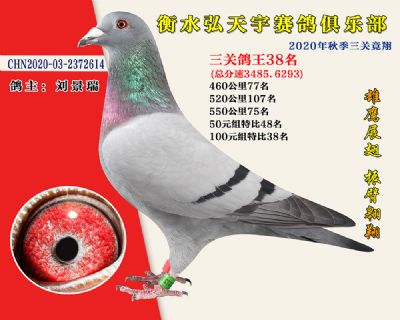 弘天宇俱樂部38