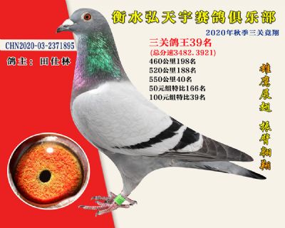 弘天宇俱樂部39