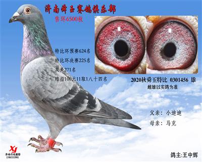 特比环决赛225名