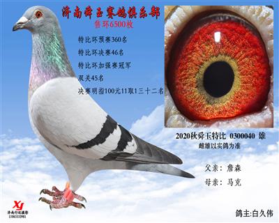 特比环加强赛冠军