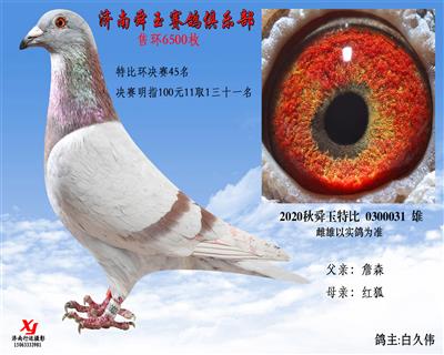 特比环决赛45名