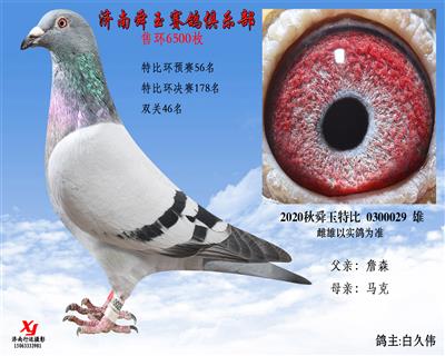 双关46名