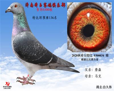 特比环预赛136名