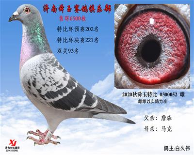 双关93名