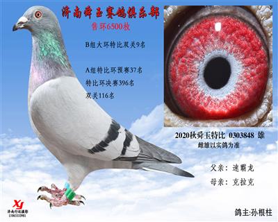 B组大环特比双关9名