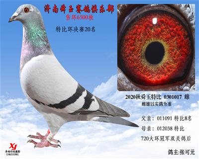 特比环决赛20名