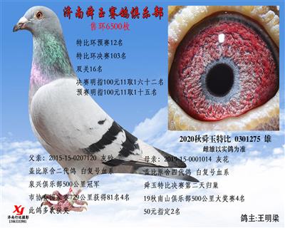 特比环预赛12名 双关16名