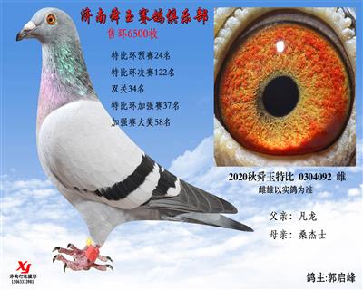 特比环预赛24名 双关34名