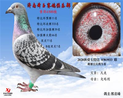 B组双关7名 特比环预赛11名