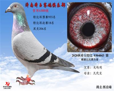 特比环决赛18名
